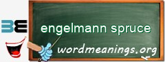 WordMeaning blackboard for engelmann spruce